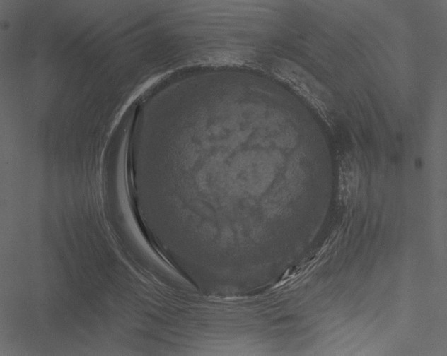 X0000051240584200506171112