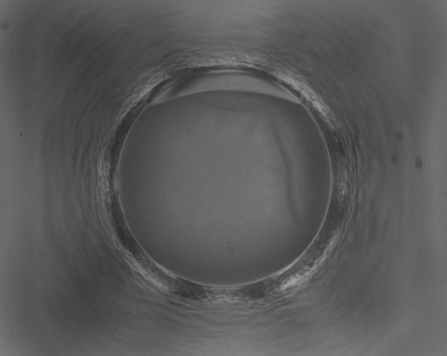 X0000051240585200506171112