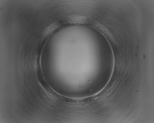 X0000051240586200506171112