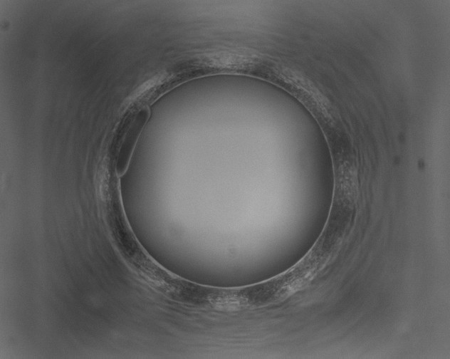 X0000051240587200506171112