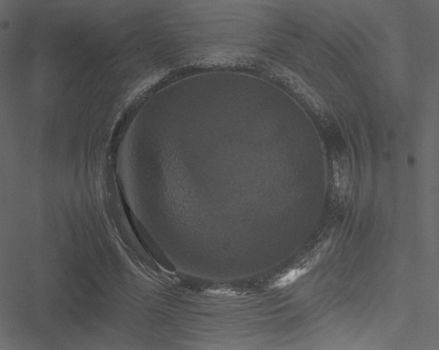 X0000051240588200506171112