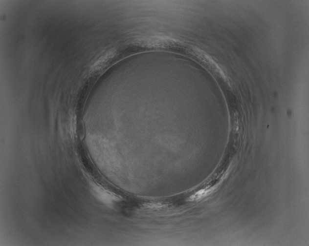 X0000051240589200506171112