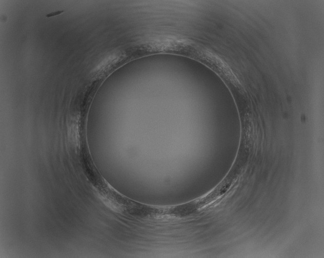 X0000051240590200506171112