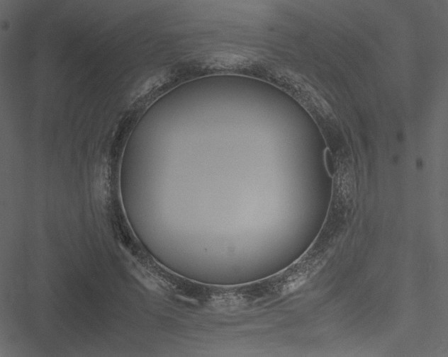 X0000051240591200506171112