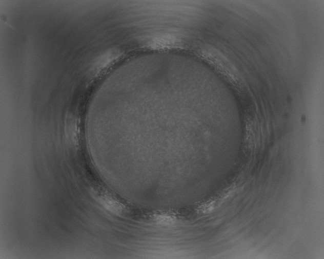 X0000051240592200506171112