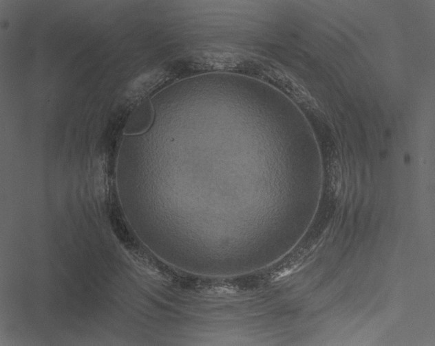 X0000051240594200506171112