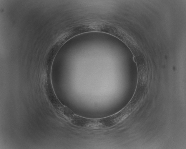 X0000051240595200506171112