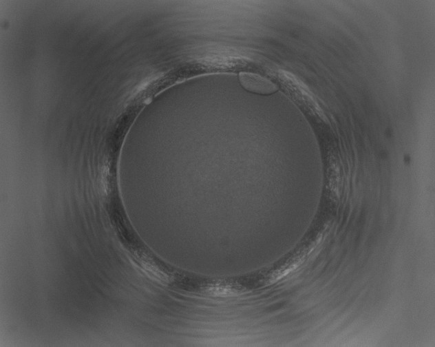 X0000051240596200506171112