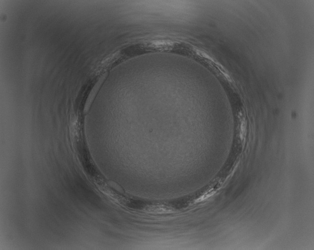 X0000051240597200506171112