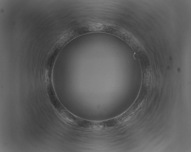 X0000051240598200506171112