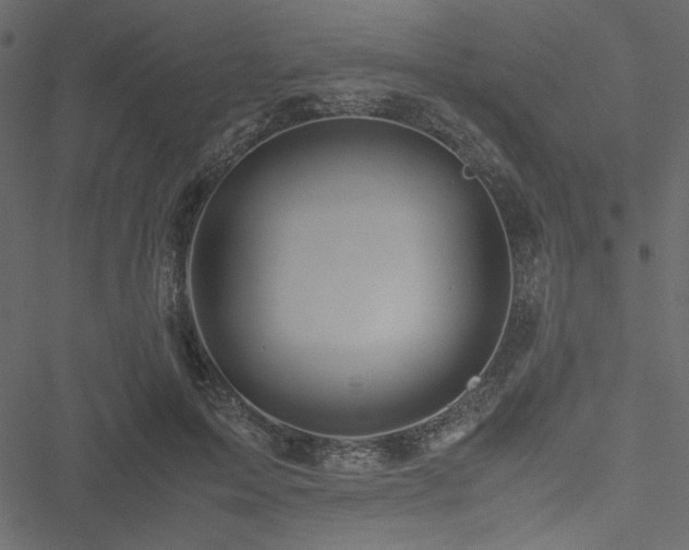 X0000051240599200506171112