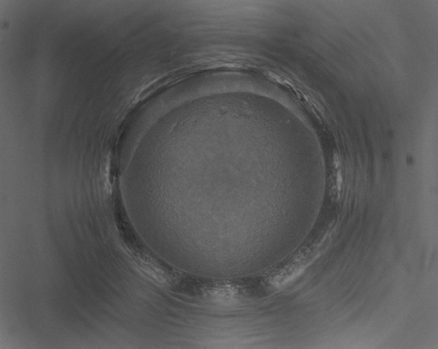 X0000051240600200506171112