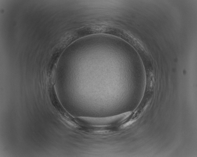 X0000051240601200506171112