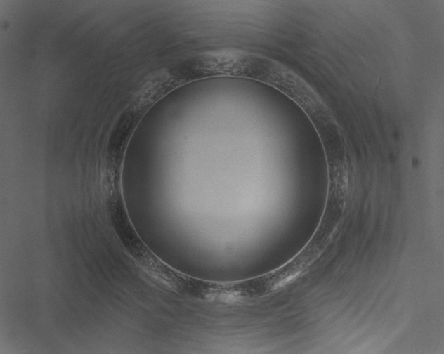 X0000051240602200506171112