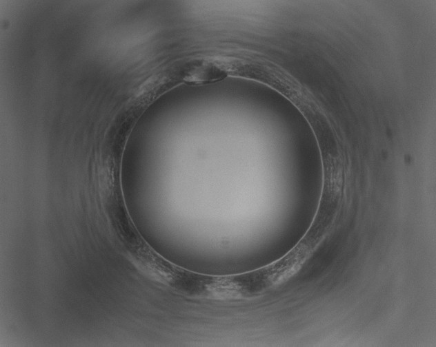 X0000051240603200506171112