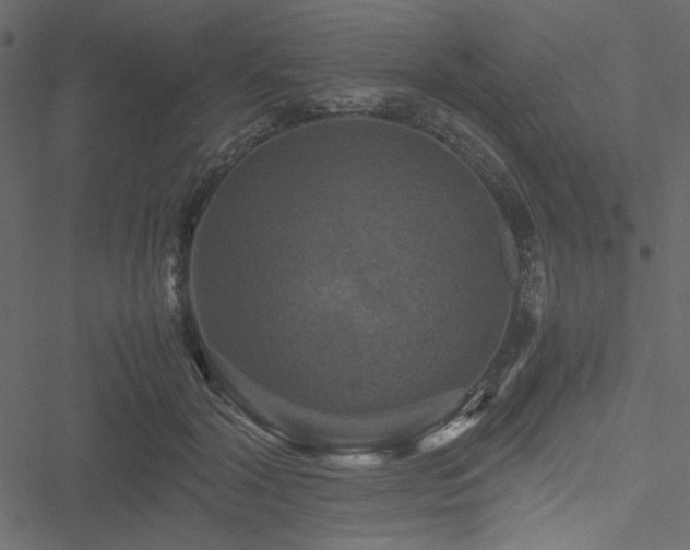 X0000051240604200506171112