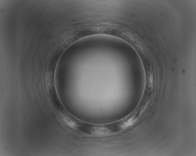 X0000051240605200506171112