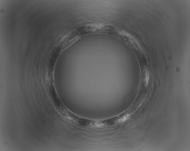 X0000051240607200506171112