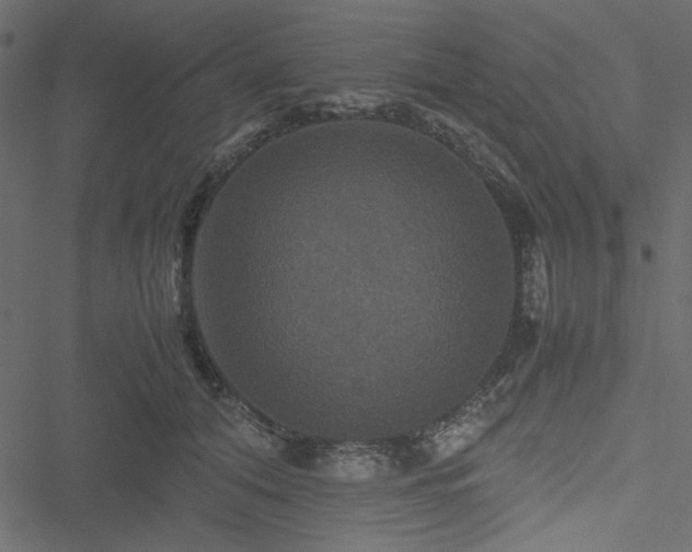 X0000051240608200506171112