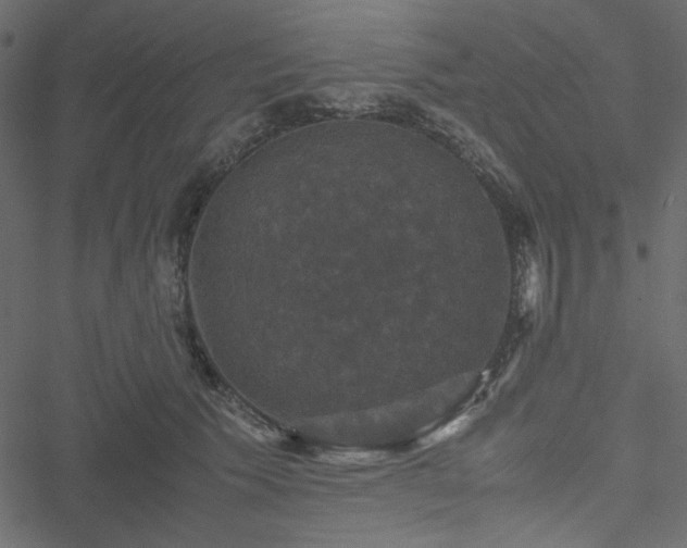 X0000051240609200506171112