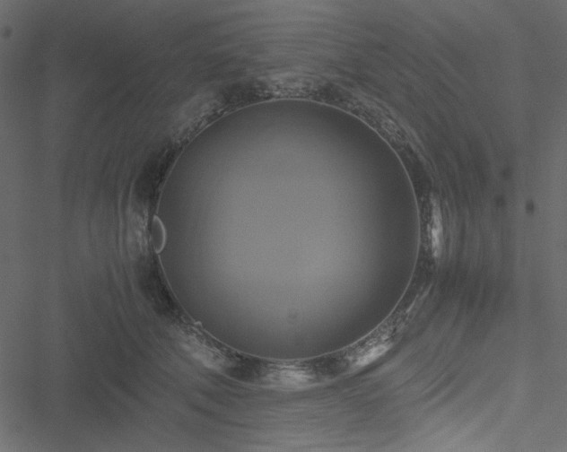 X0000051240610200506171112