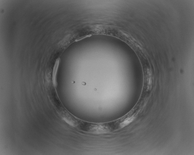 X0000051240611200506171112