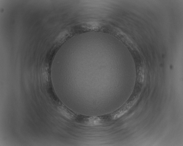 X0000051240612200506171112