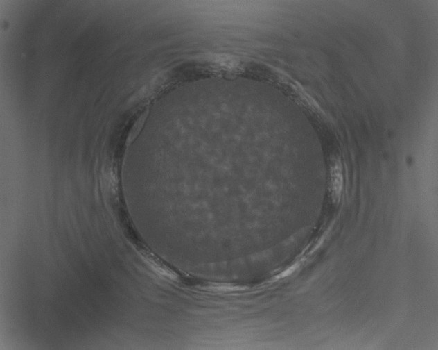 X0000051240613200506171112