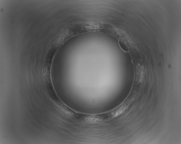 X0000051240614200506171112