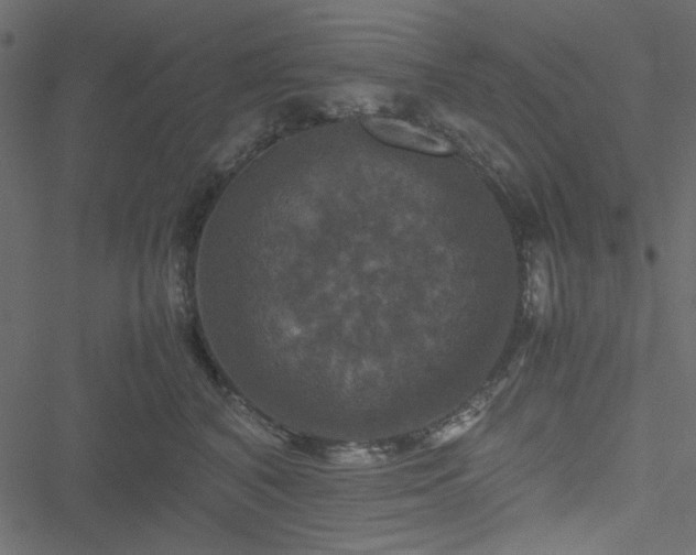 X0000051240616200506171112