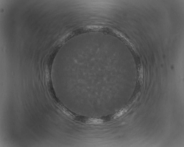 X0000051240617200506171112