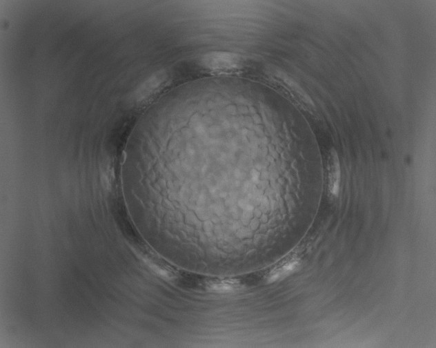 X0000051240618200506171112