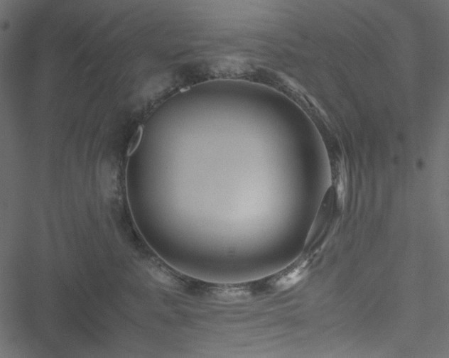 X0000051240619200506171112