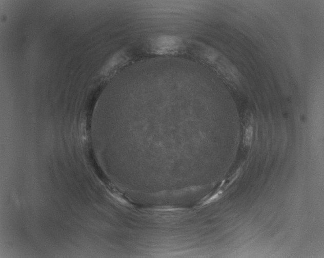 X0000051240620200506171112