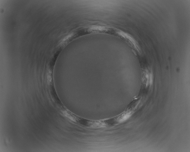 X0000051240621200506171112