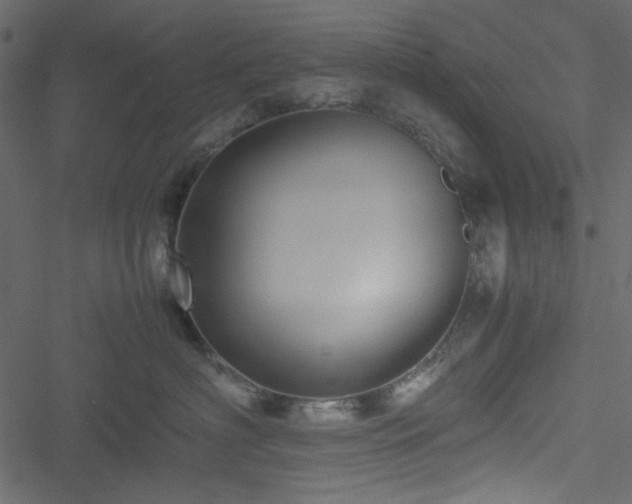 X0000051240622200506171112