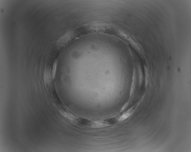 X0000051240623200506171112