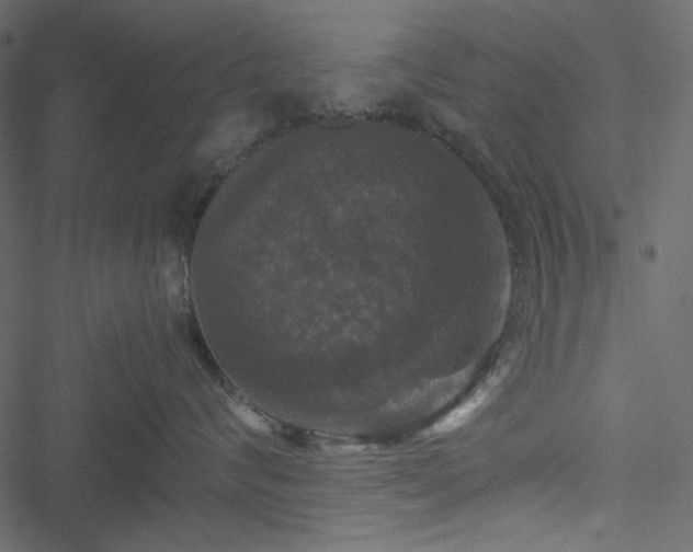 X0000051240624200506171112