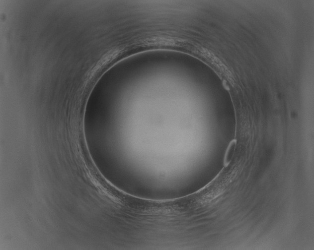 X0000051240625200506171111