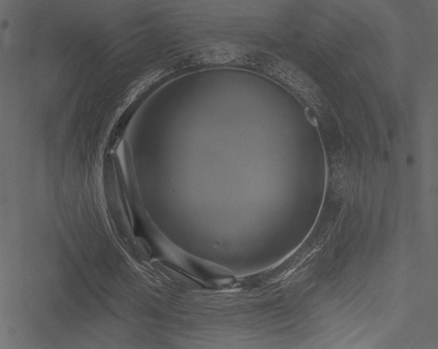 X0000051240626200506171111