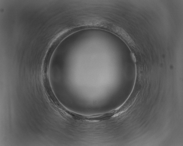 X0000051240628200506171111