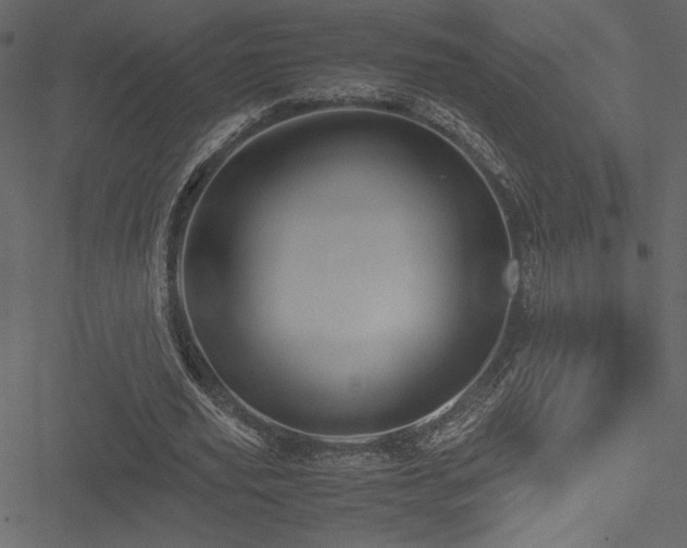 X0000051240629200506171111