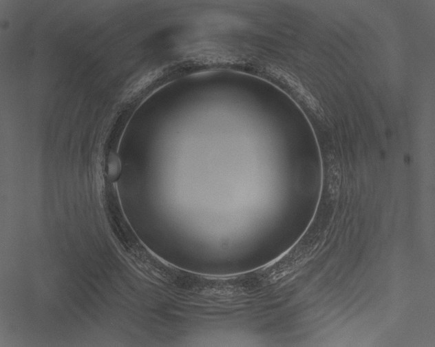 X0000051240631200506171111