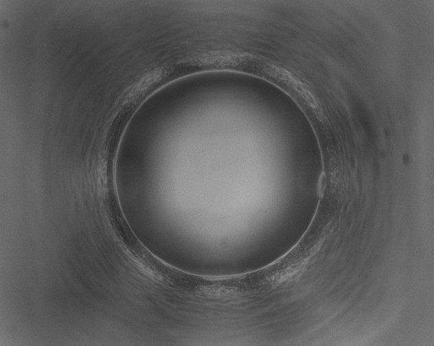 X0000051240633200506171111