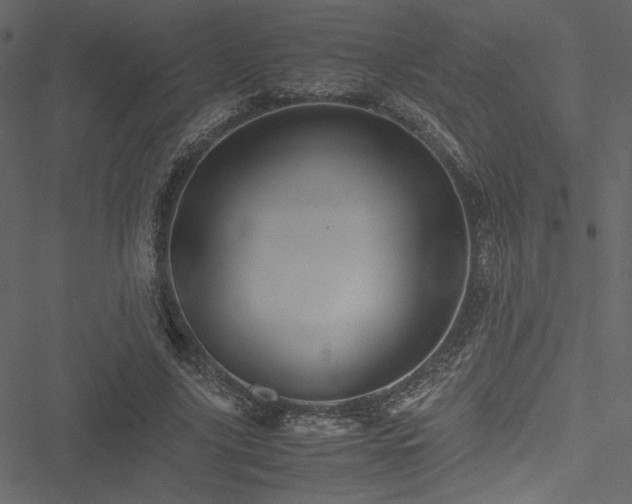 X0000051240635200506171111