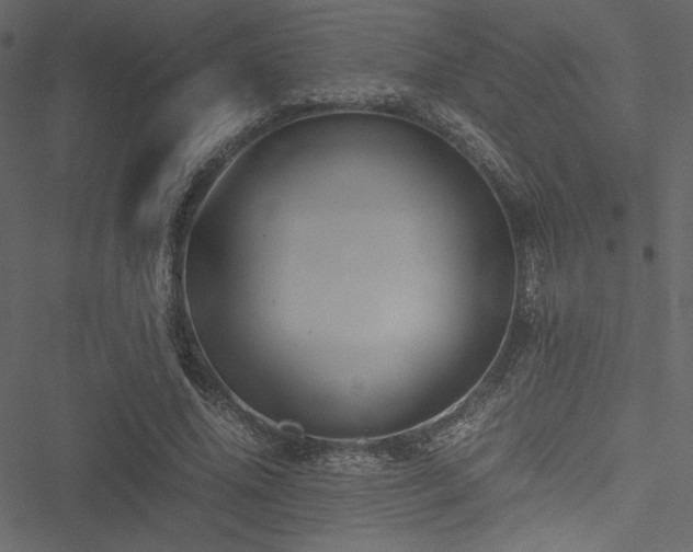 X0000051240636200506171111