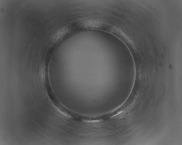 X0000051240637200506171111