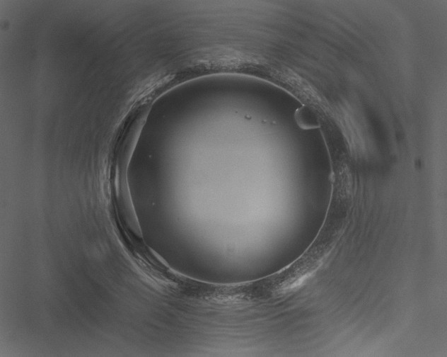 X0000051240638200506171111