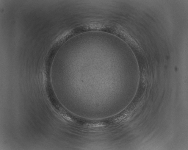 X0000051240639200506171111