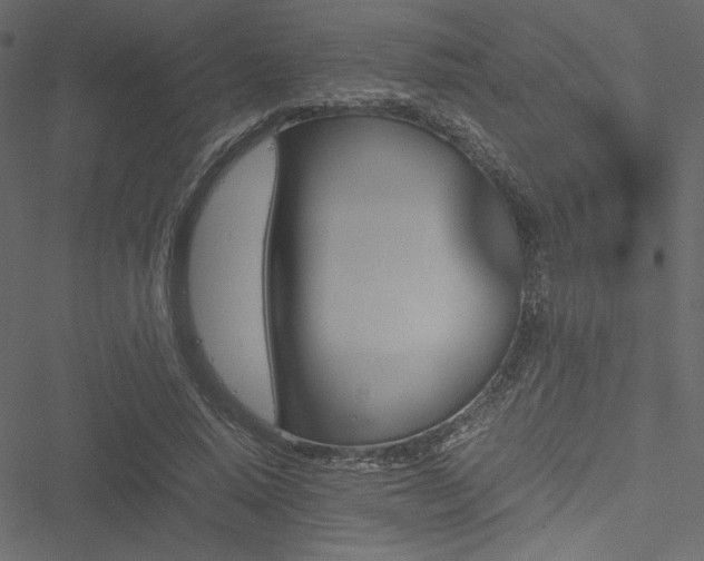 X0000051240640200506171111